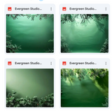 Evergreen Studio Background Bundle