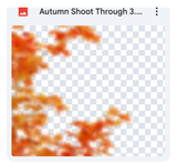 Autumn Shoot Through Bundle