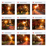 Ultimate Autumn Orchard Background Bundle